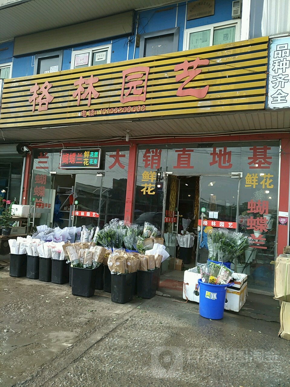 杭州绿林园艺