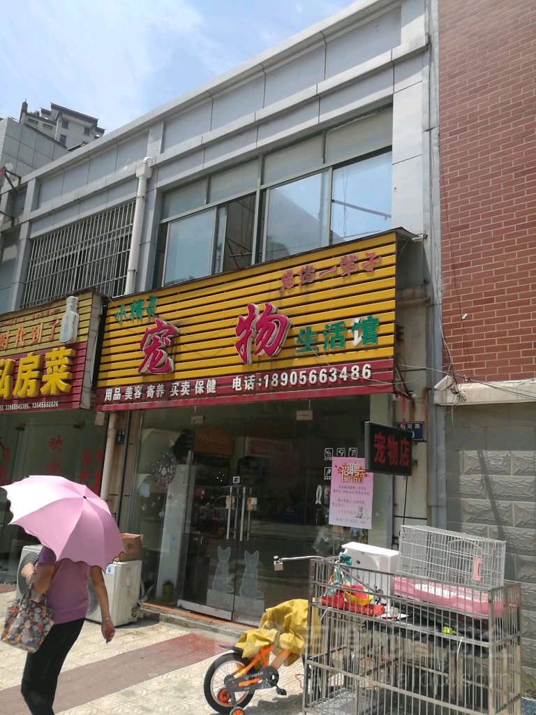 小精灵宠物生活馆(平湖路店)