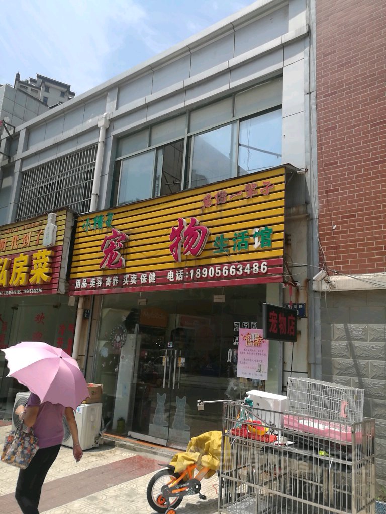 小精灵宠物店生活馆(平湖路店)