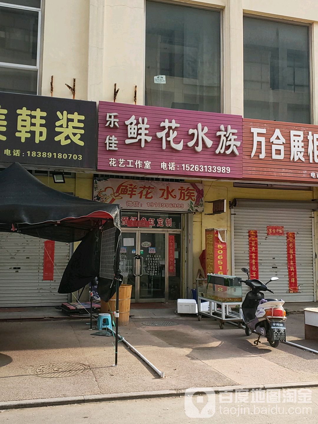 乐佳鲜花水族