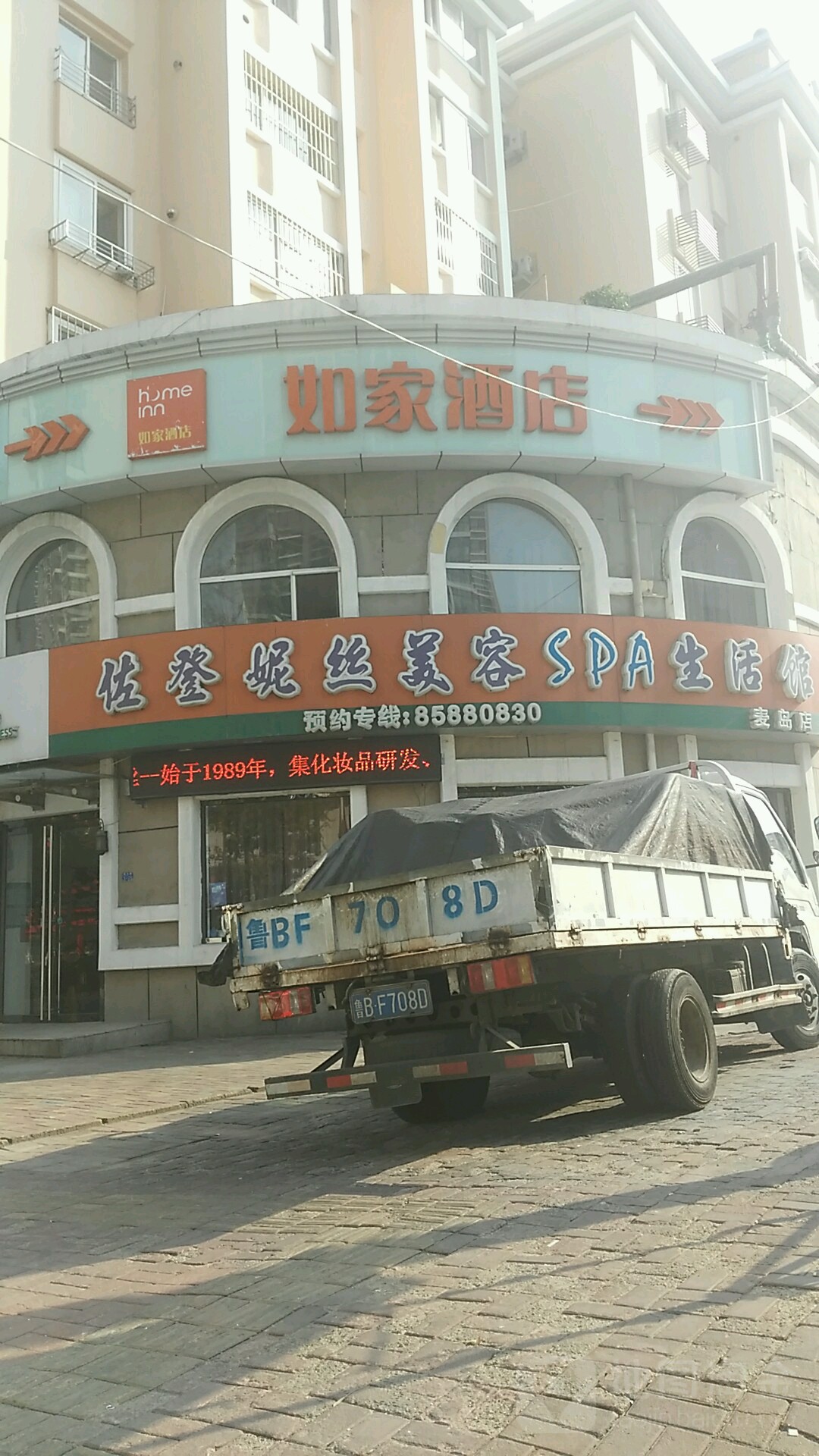 佐登妮丝深(麦岛店)