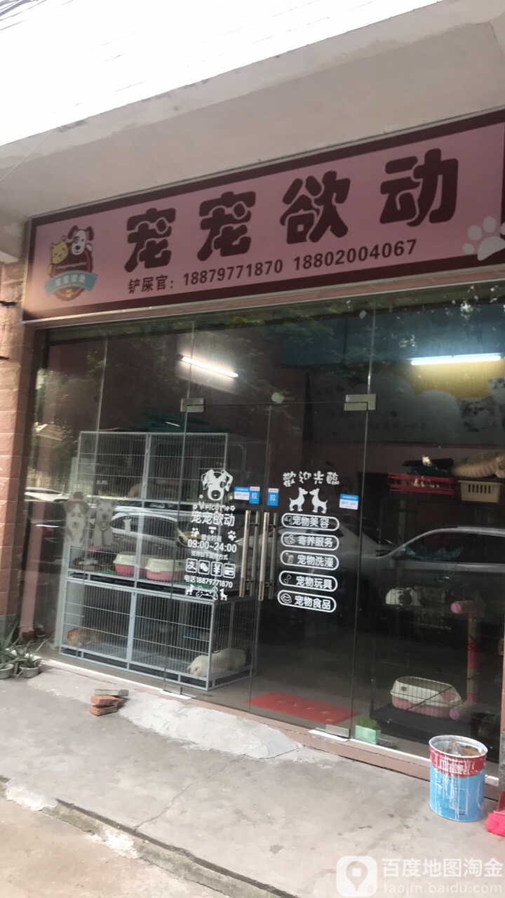 宠宠欲动宠物店