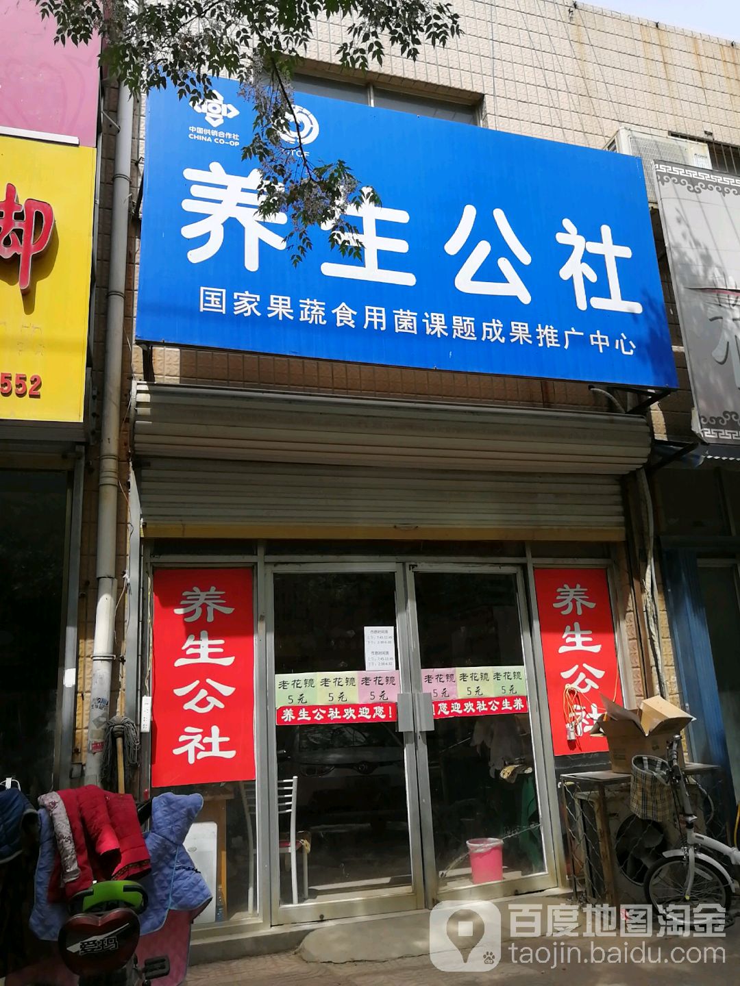 养生公社