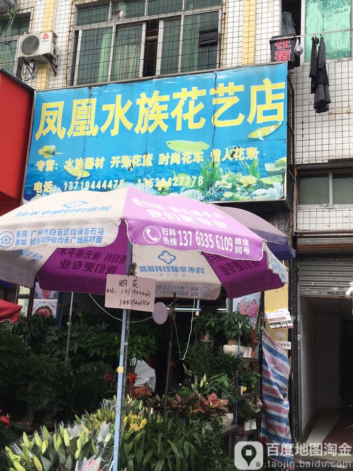 凤凰车族花艺店(石井店)