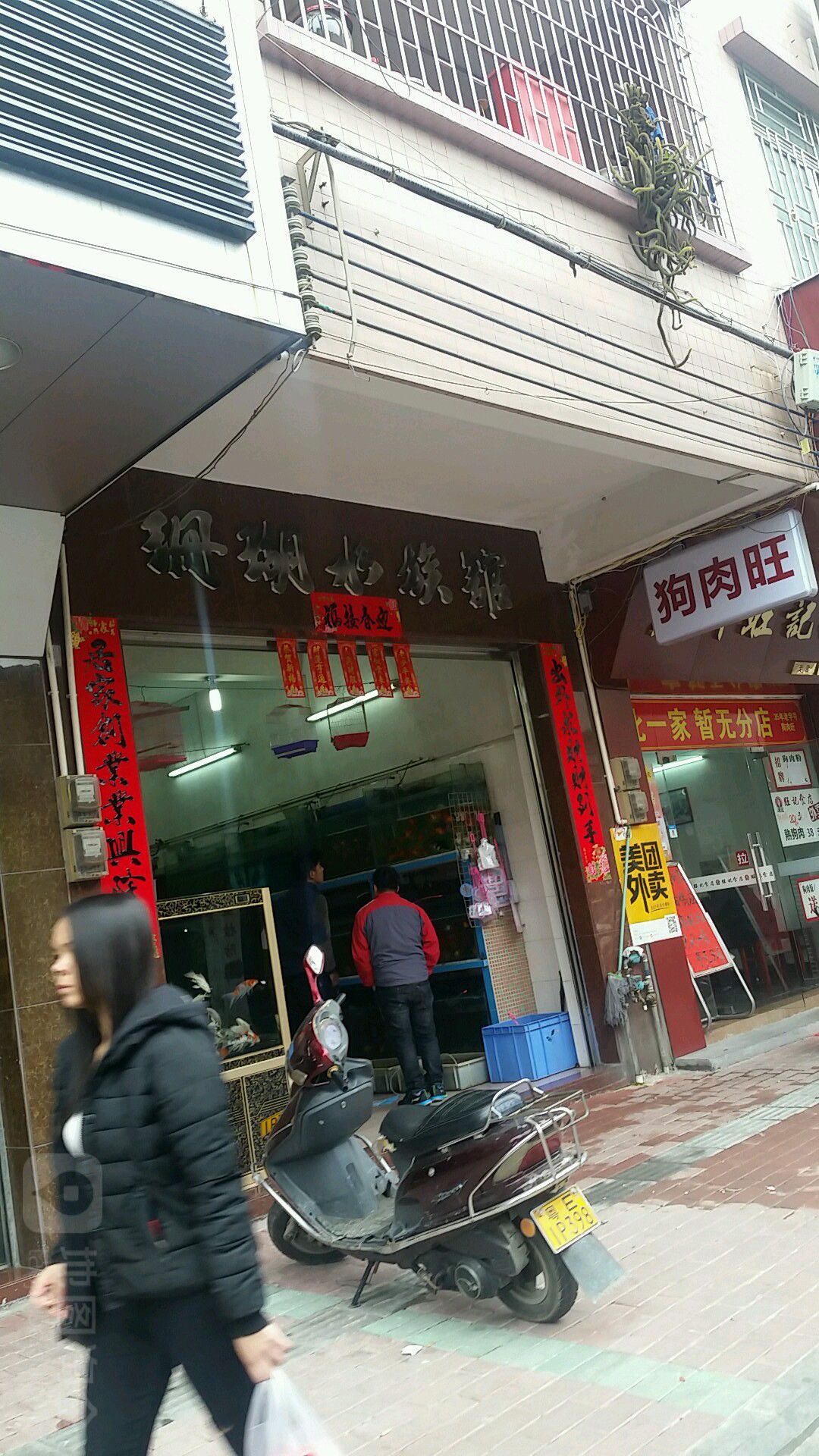 珊瑚水族馆