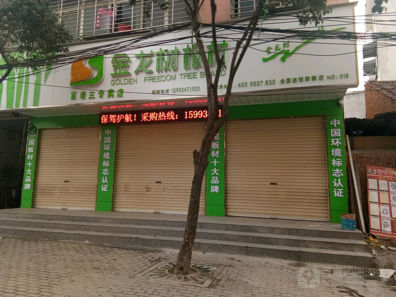 新蔡县金龙树板材苗(曹老三专卖店)