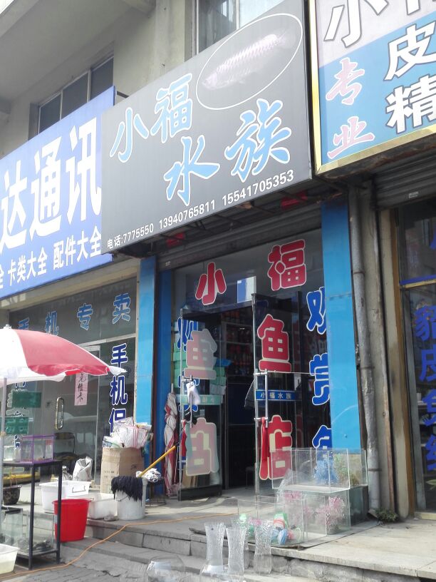 小福水族鲜花礼品店