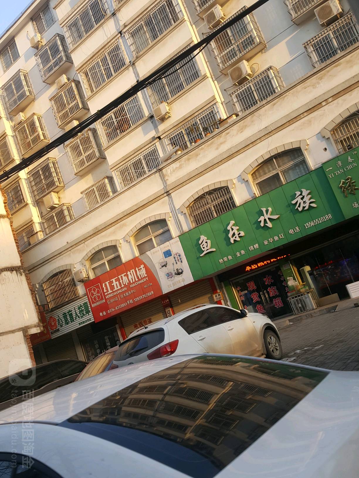 鱼乐水族(长安路店)