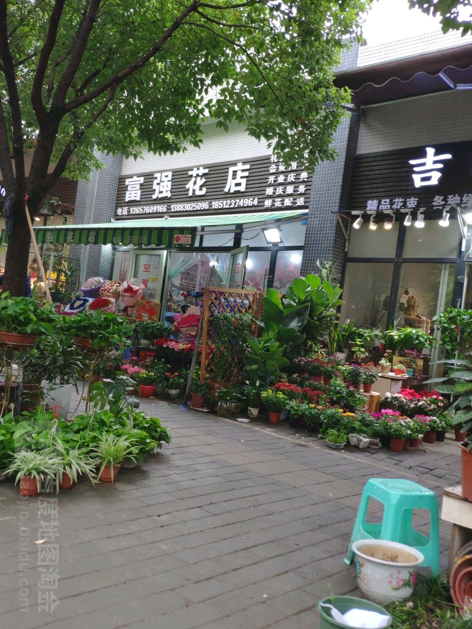 福强花店(榕杉路店)