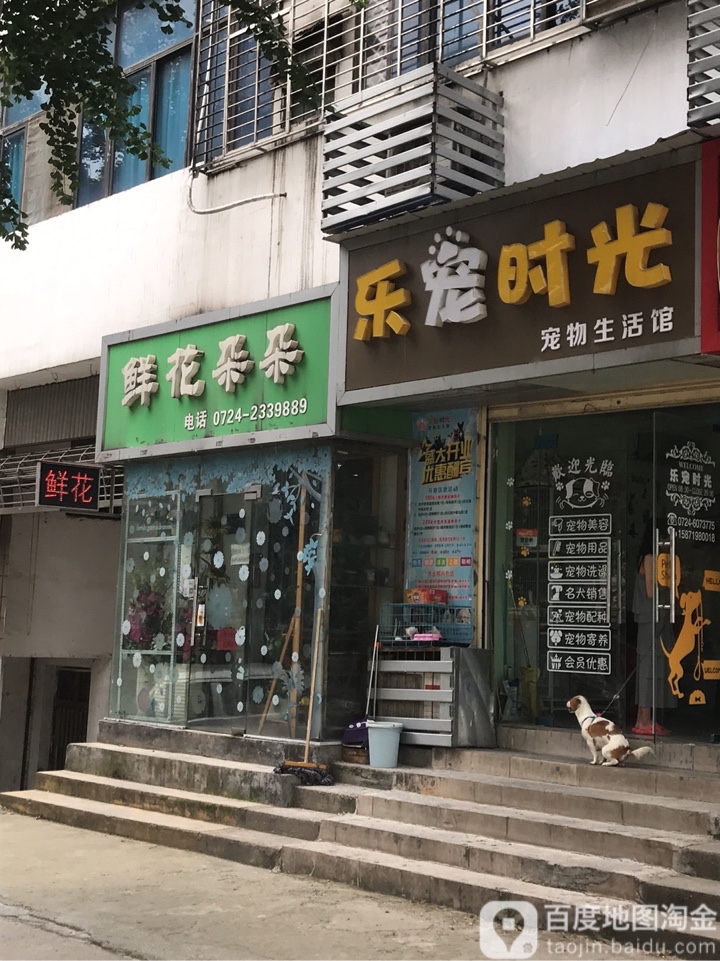 鲜花朵朵(荆楚理工学院店)
