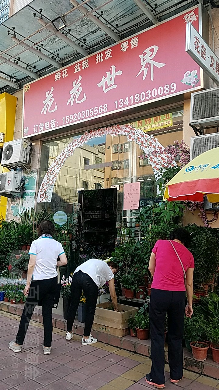 花花世界(灰沙基街店)
