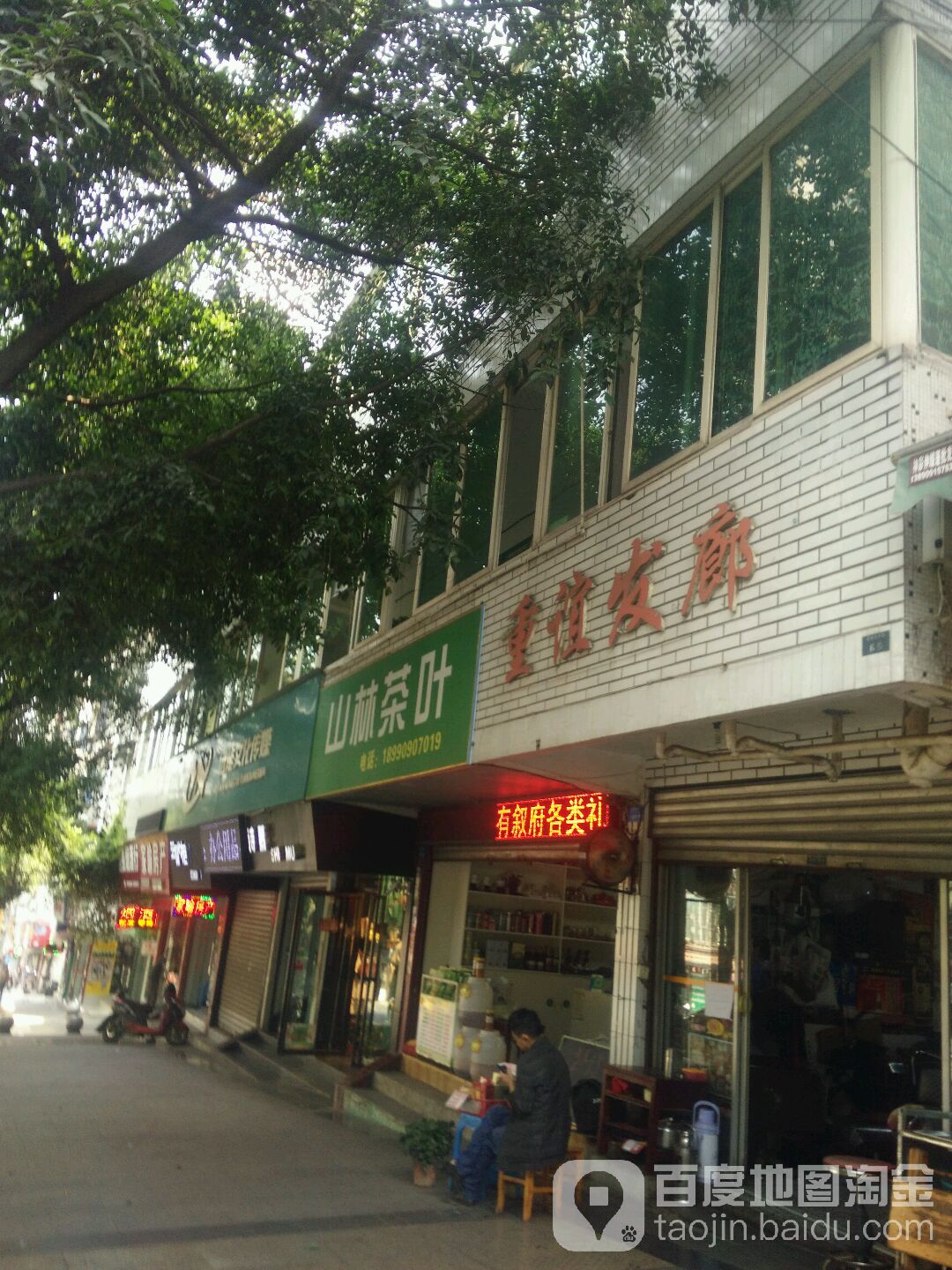 山林茶叶