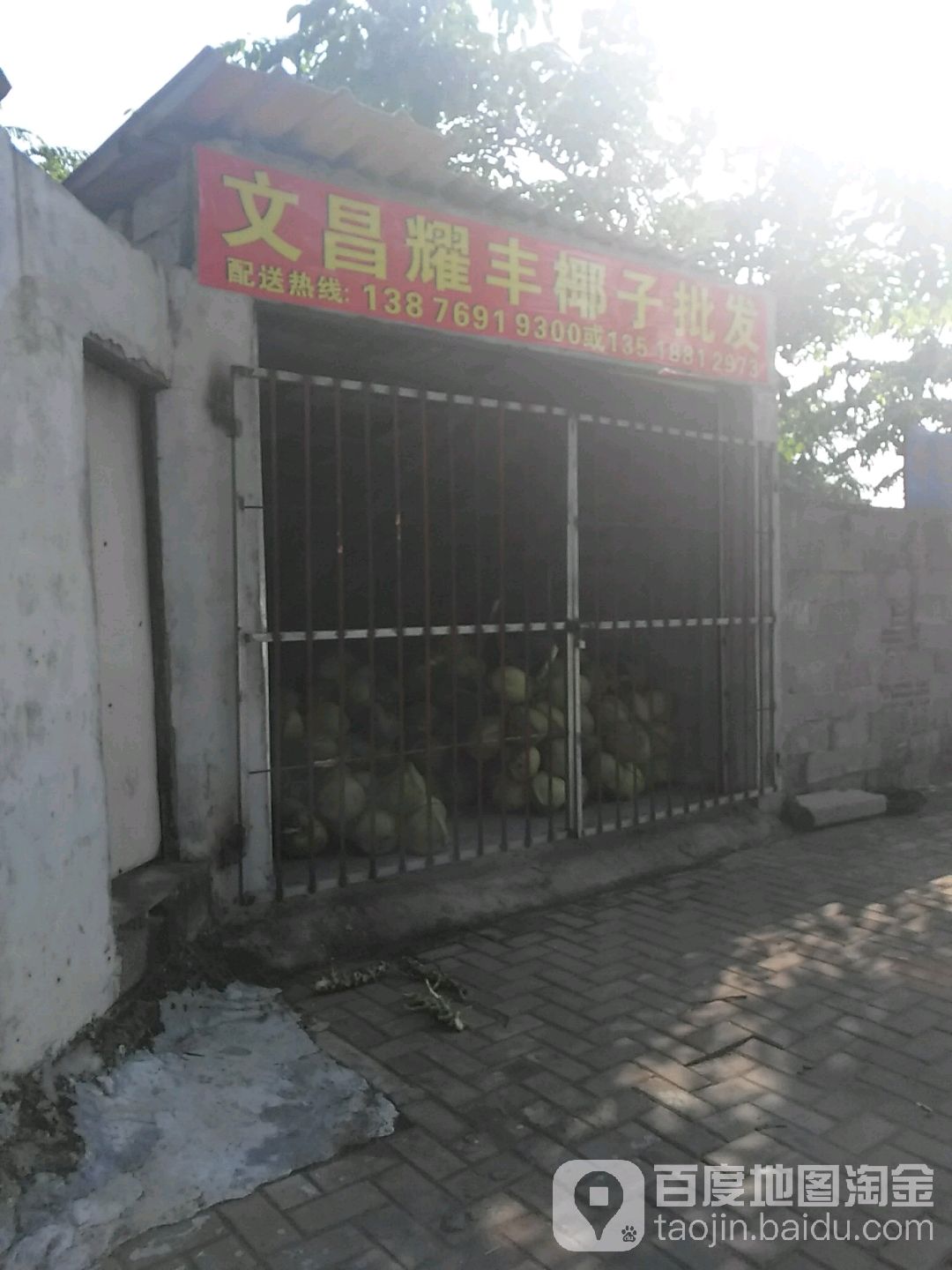 文昌耀车椰子批发