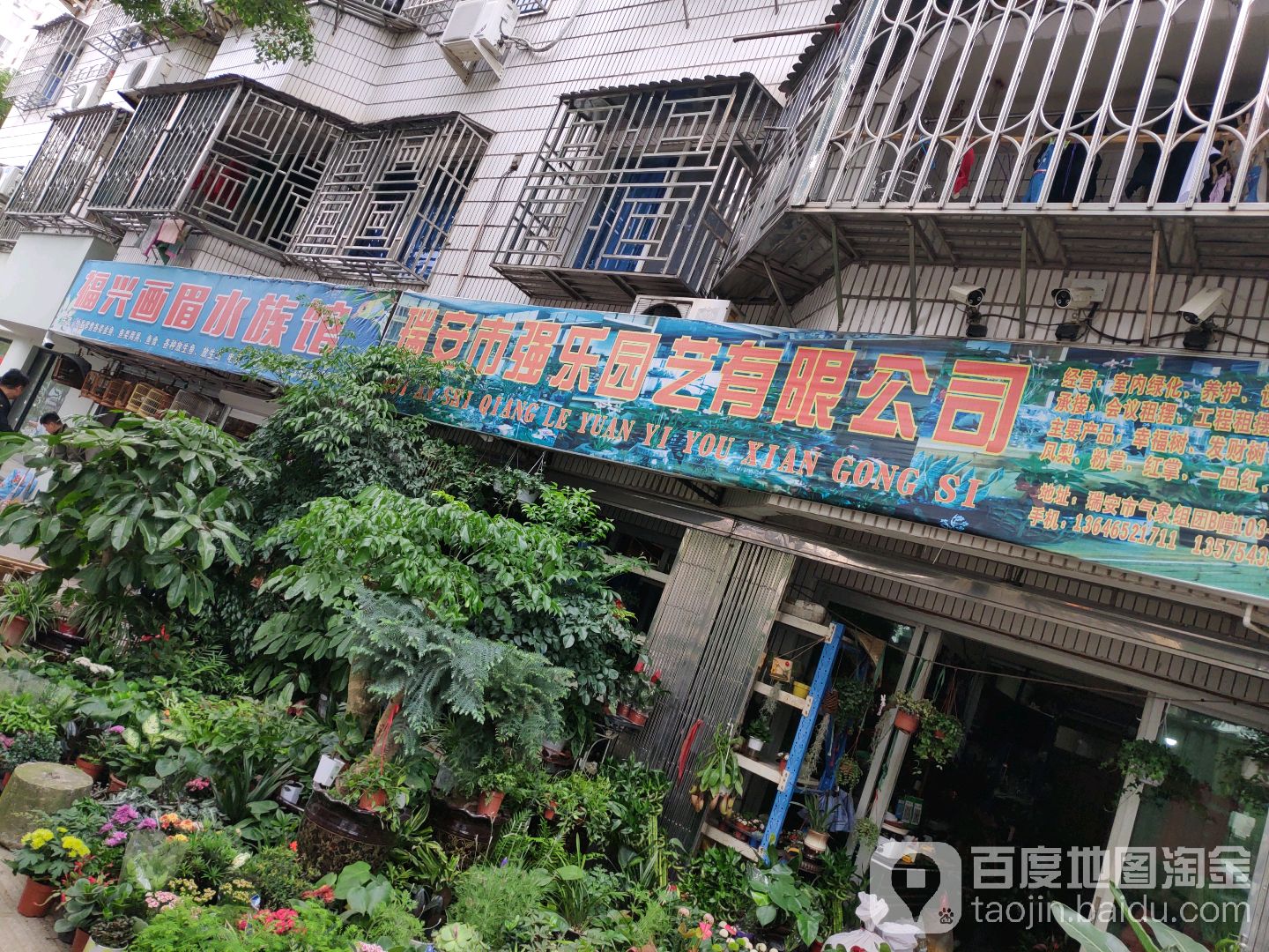 兴陶瓷画眉水族馆(气象小区店)