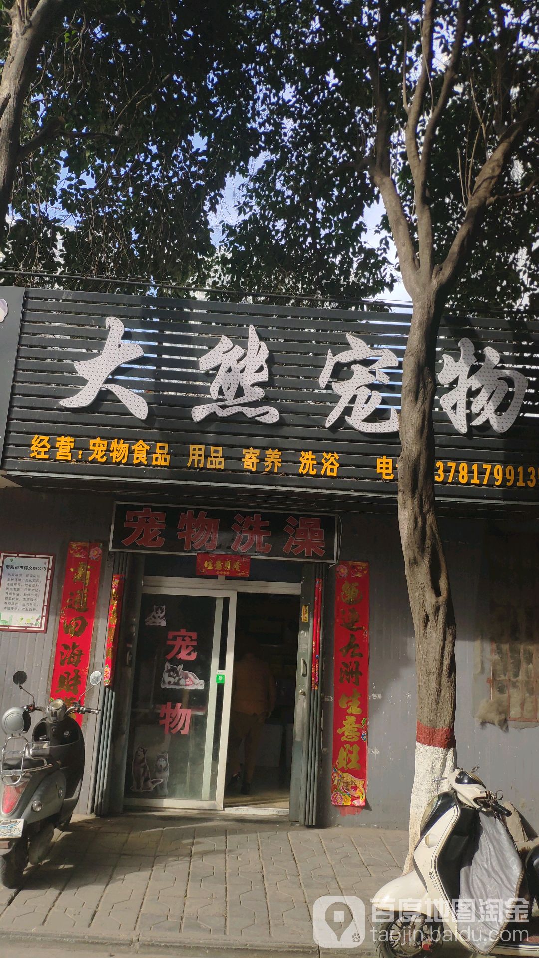 大熊宠物(丝织厂后街店)