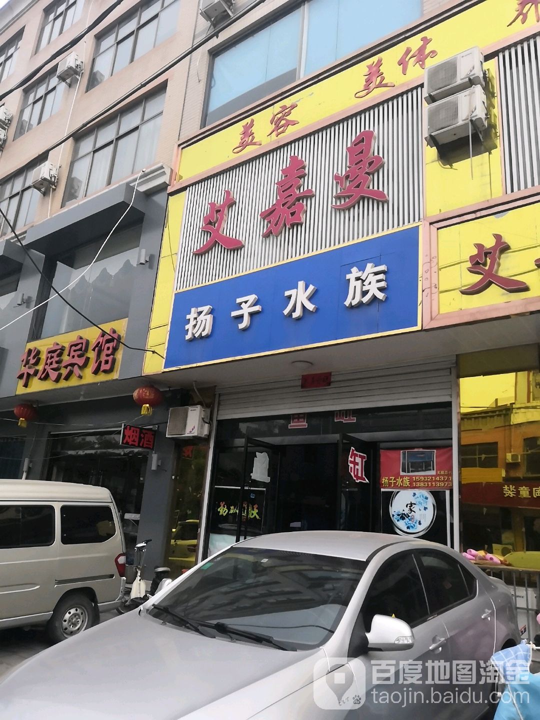 杨子水族