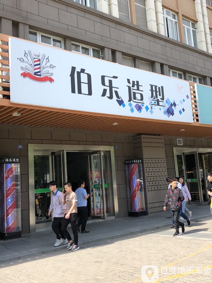 伯乐造型