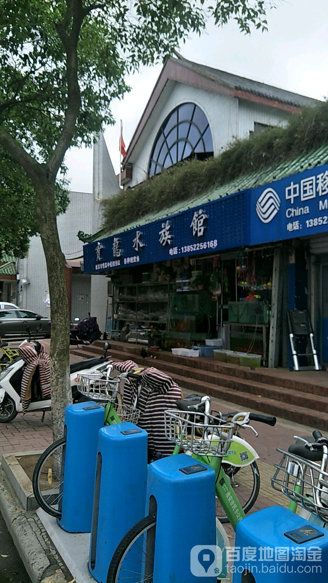 宝龙水族馆