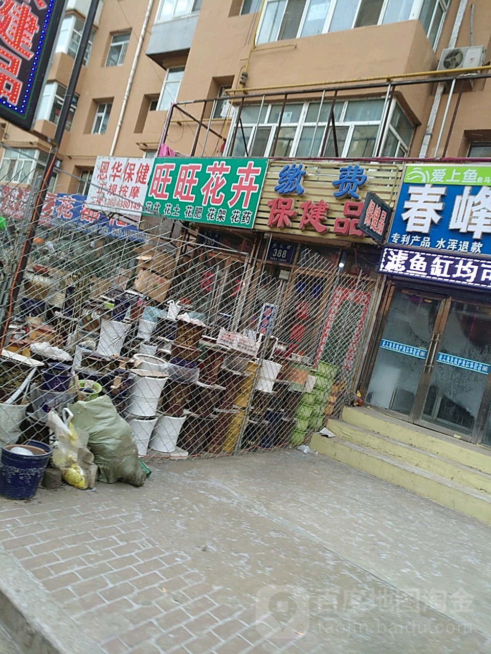 旺旺花卉