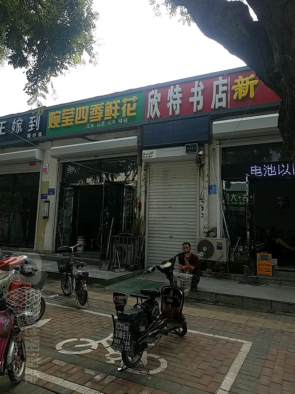 欣特书店