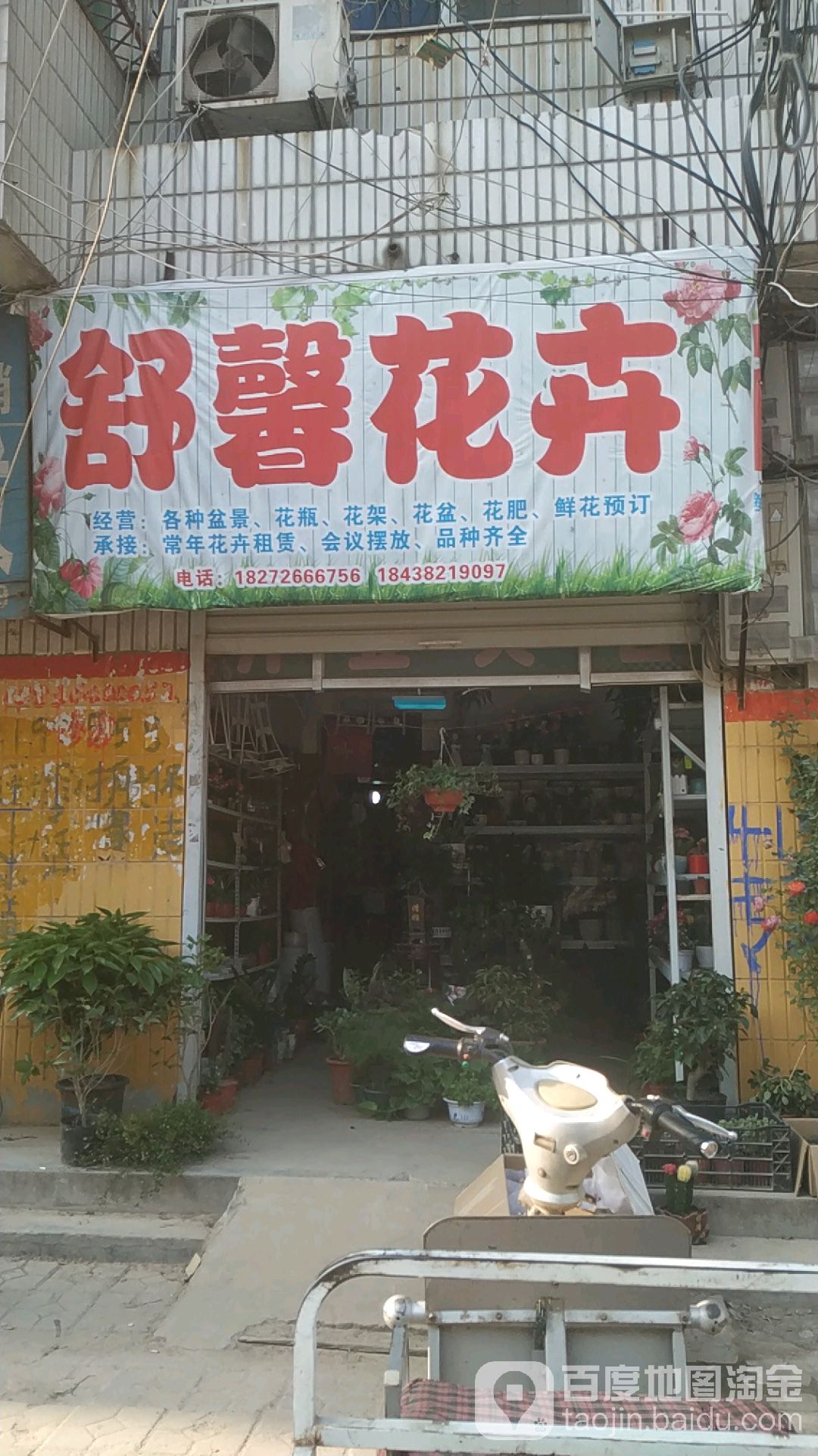 舒馨花卉