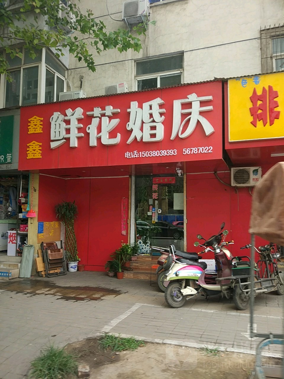 鑫鑫鲜花坊(东风路店)