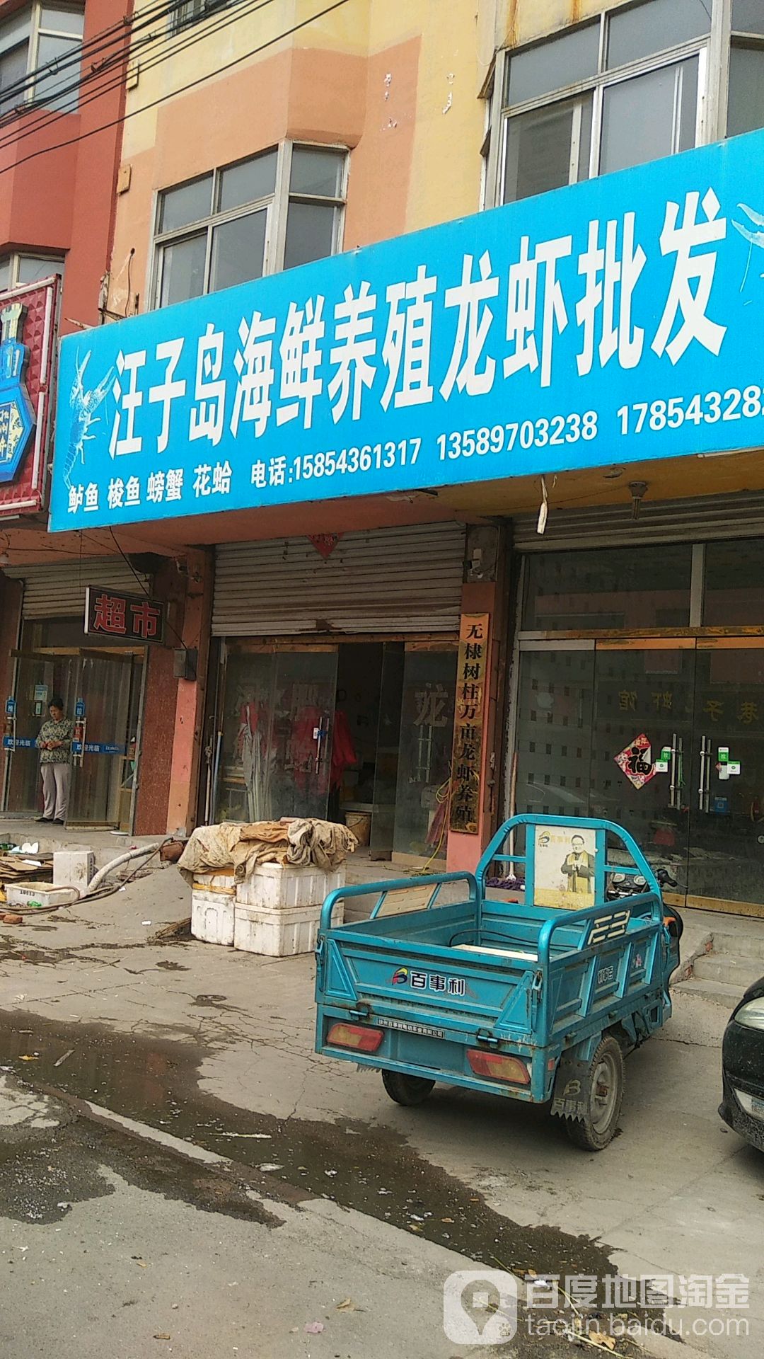 汪子岛海鲜养只龙虾批发