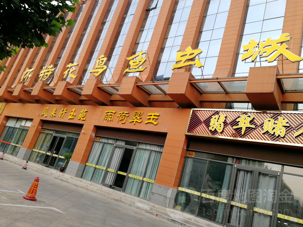 石家庄花鸟宠物市场名单大全,附详细地址及营业时间-宠物主人
