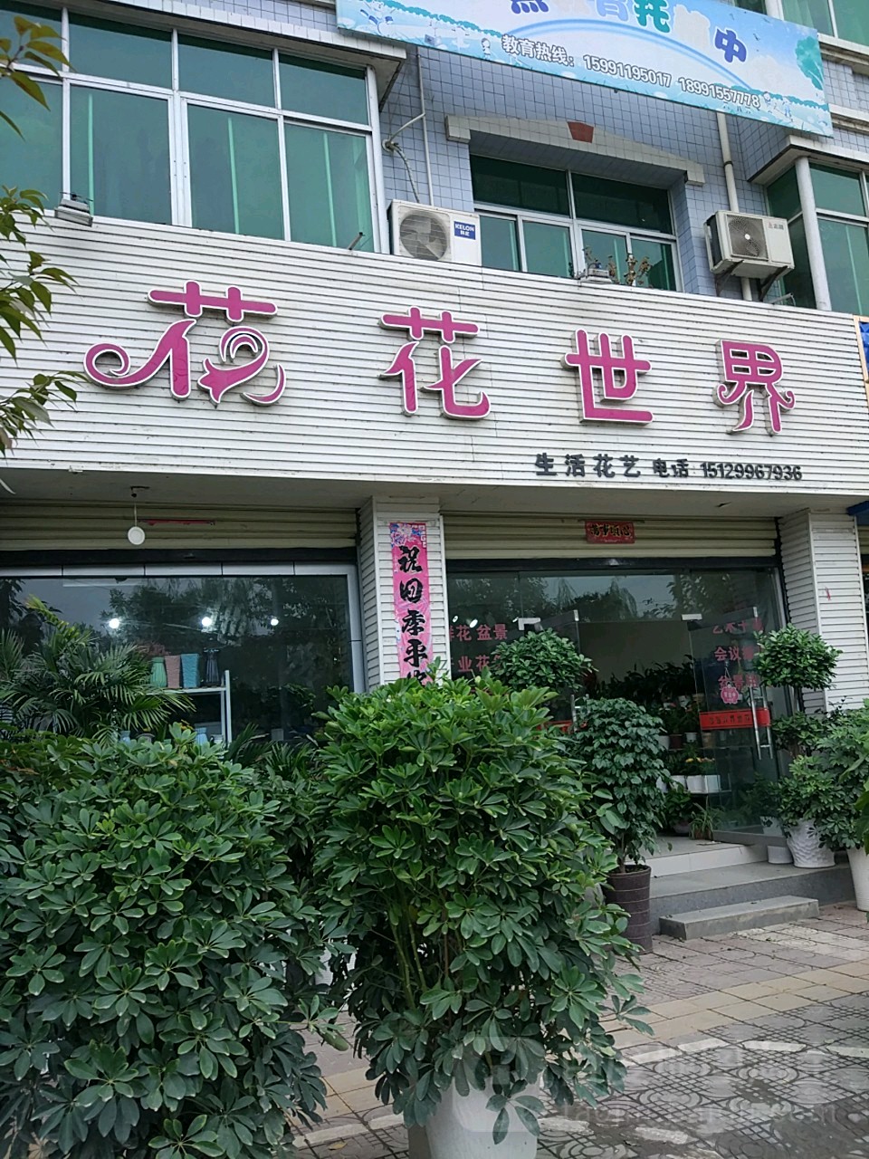 花花世界生活花艺(河滨路店)