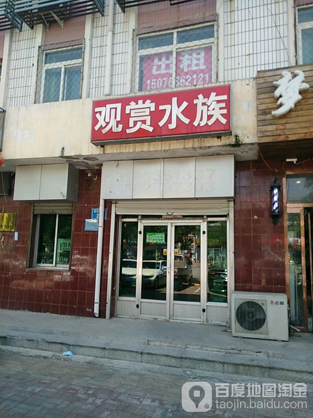 必盈观赏水族