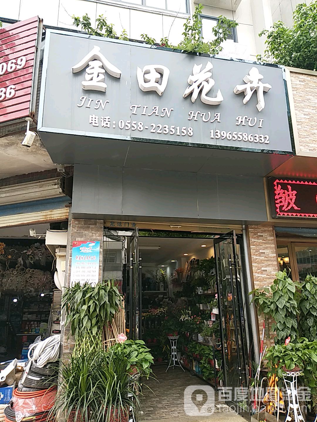 金田花卉