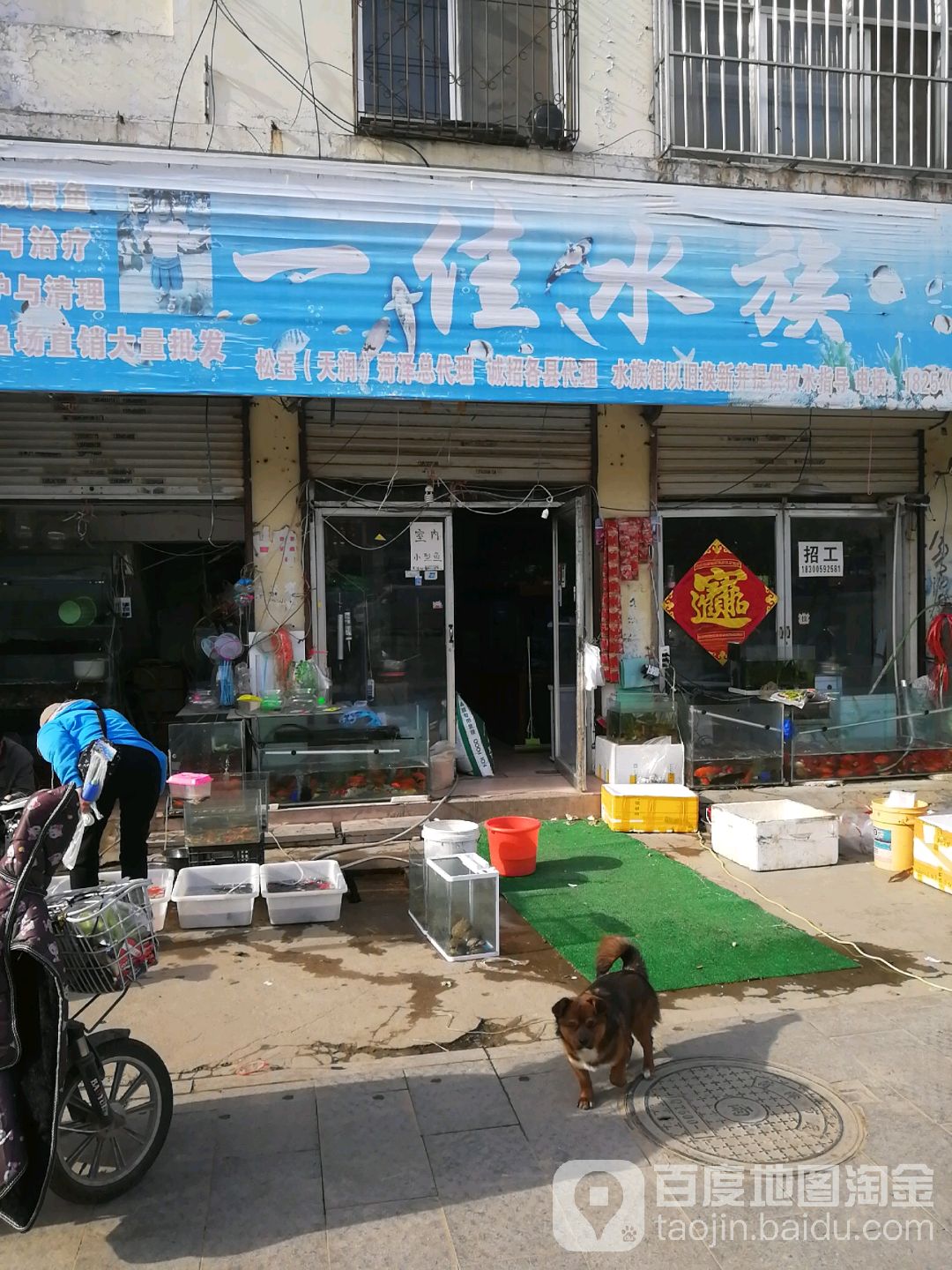 一佳水族