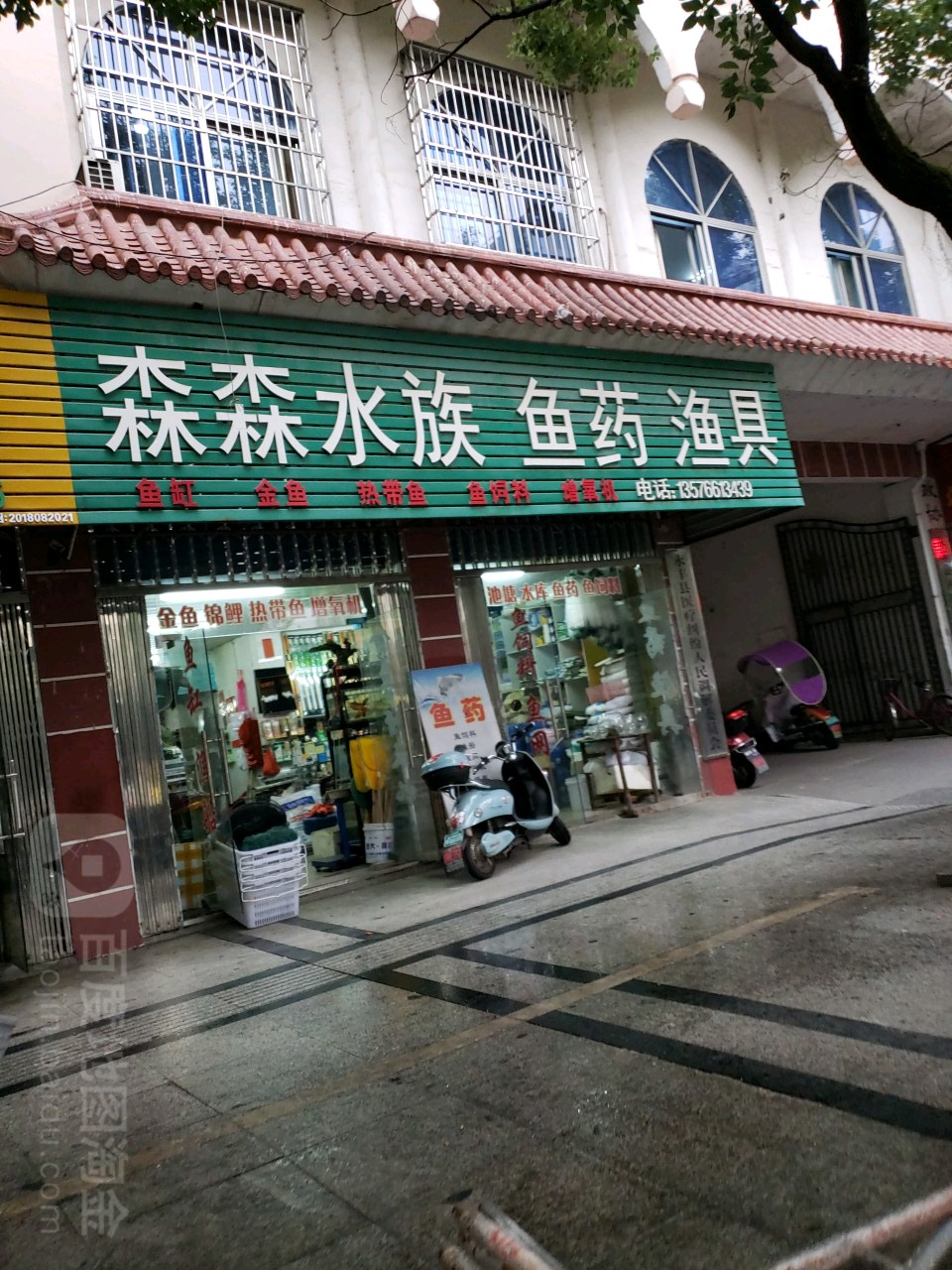 森森水族鱼药渔具(崇文东大道店)