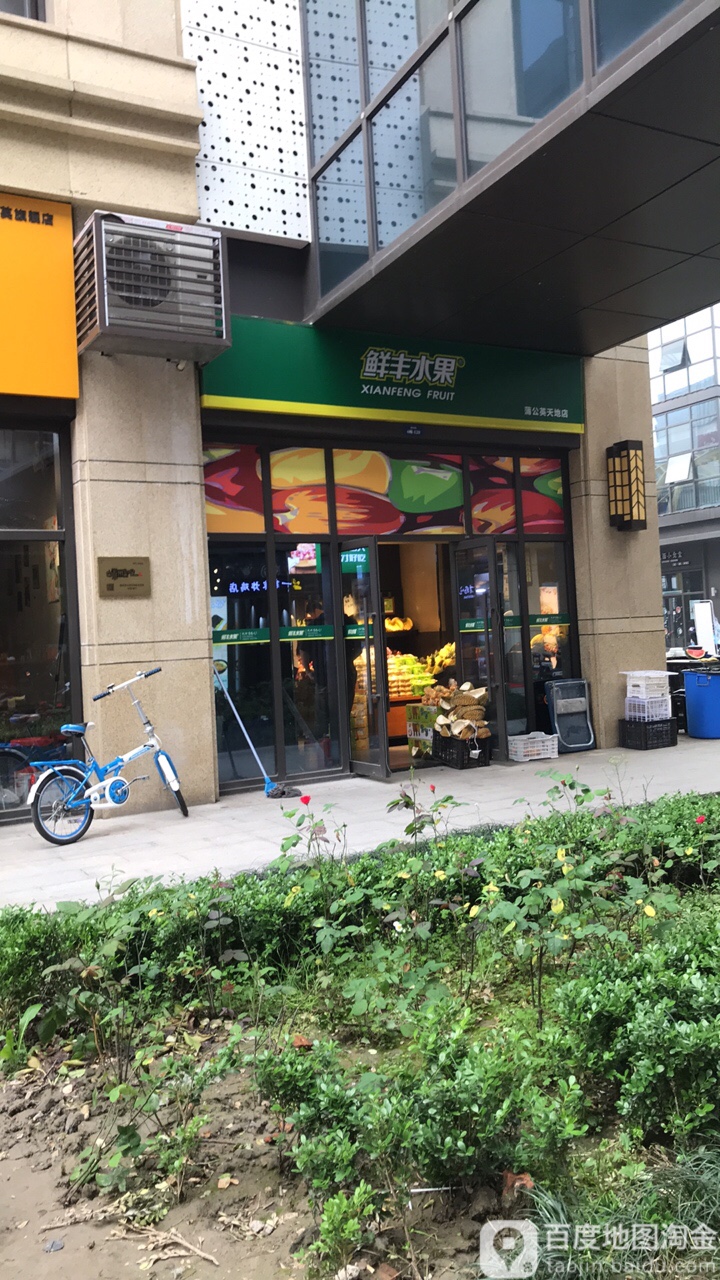 鲜丰水果(蒲公英天地店)