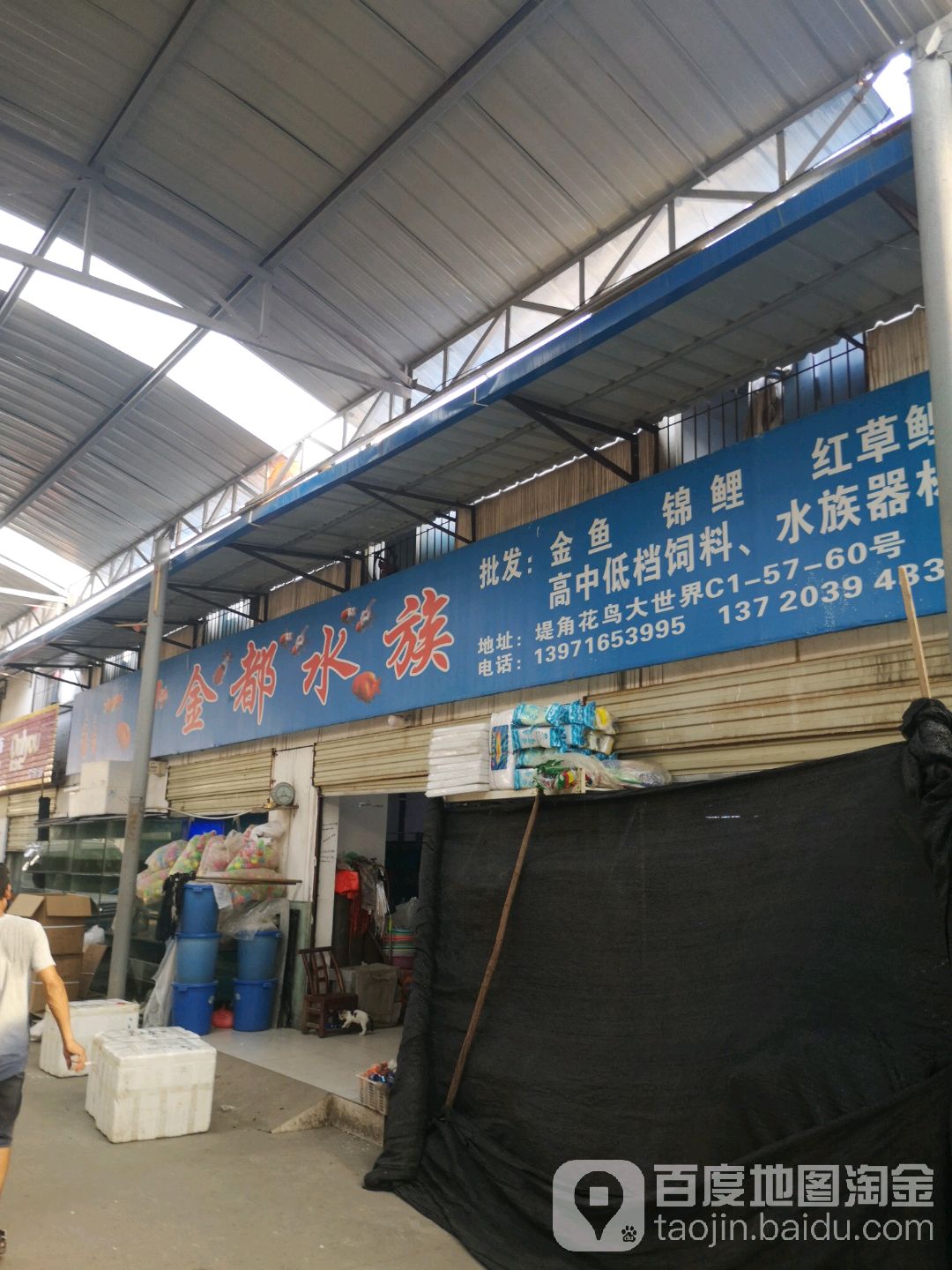 金都水族(堤角花鸟宠物大世界店)