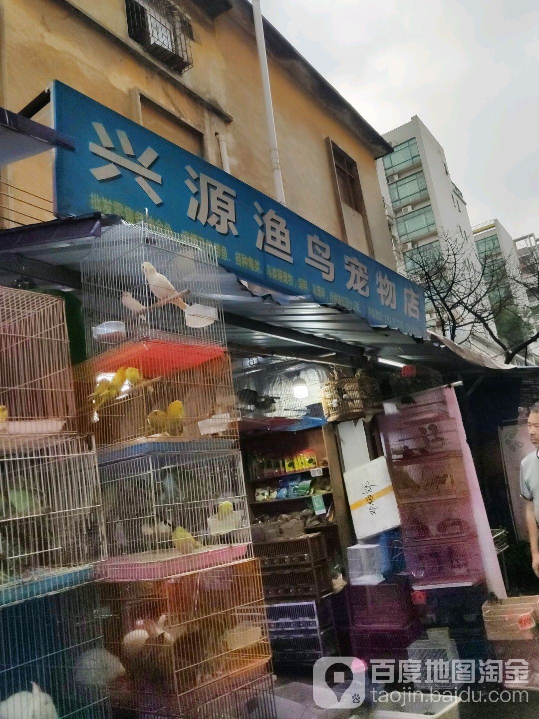 兴源渔鸟宠物店