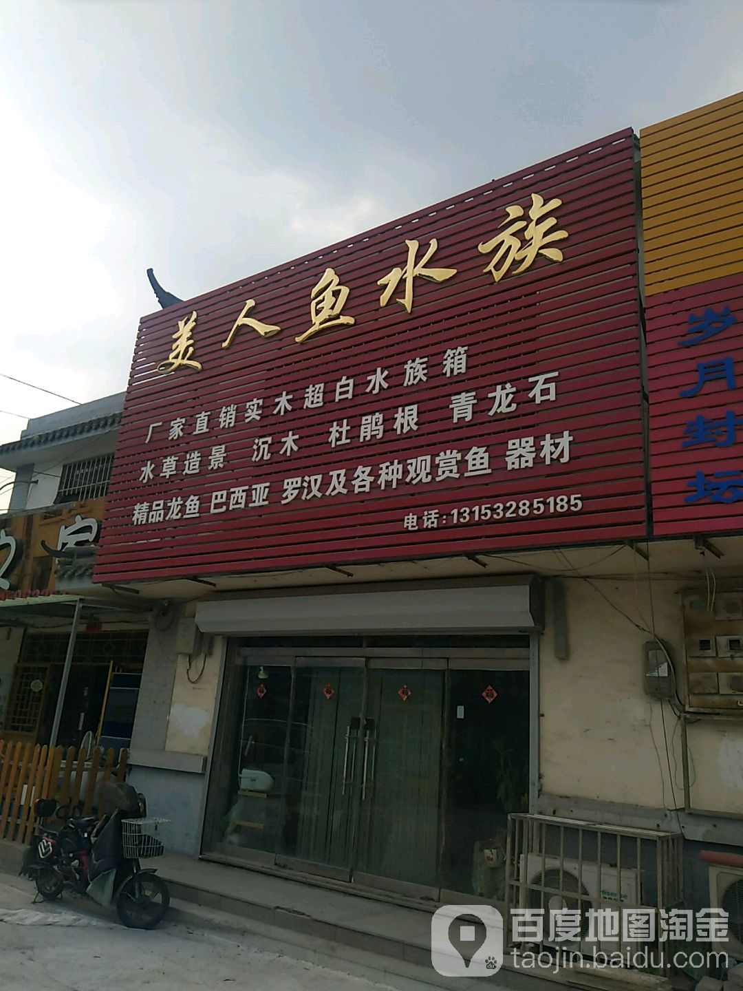 美人鱼水族