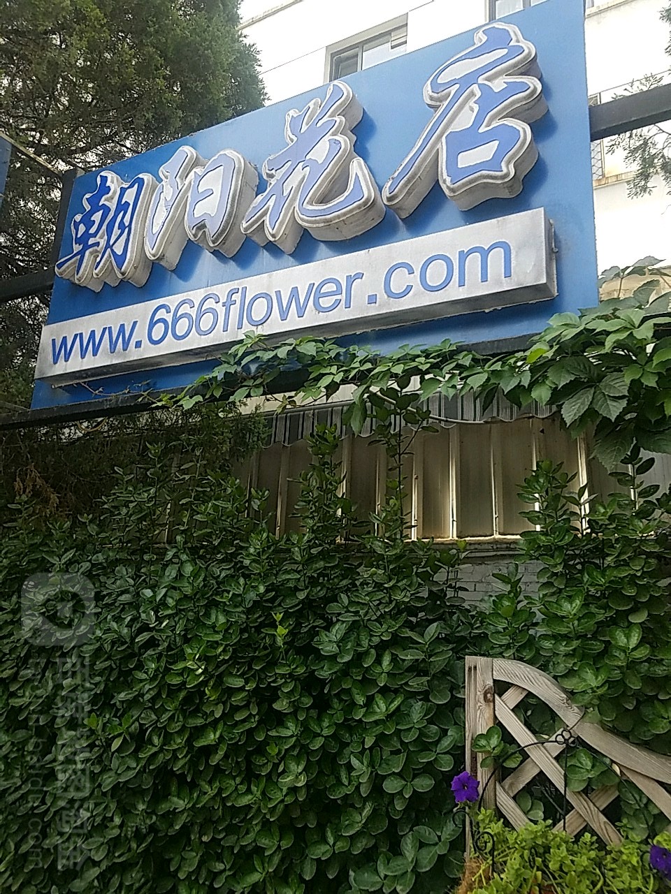 朝阳公店