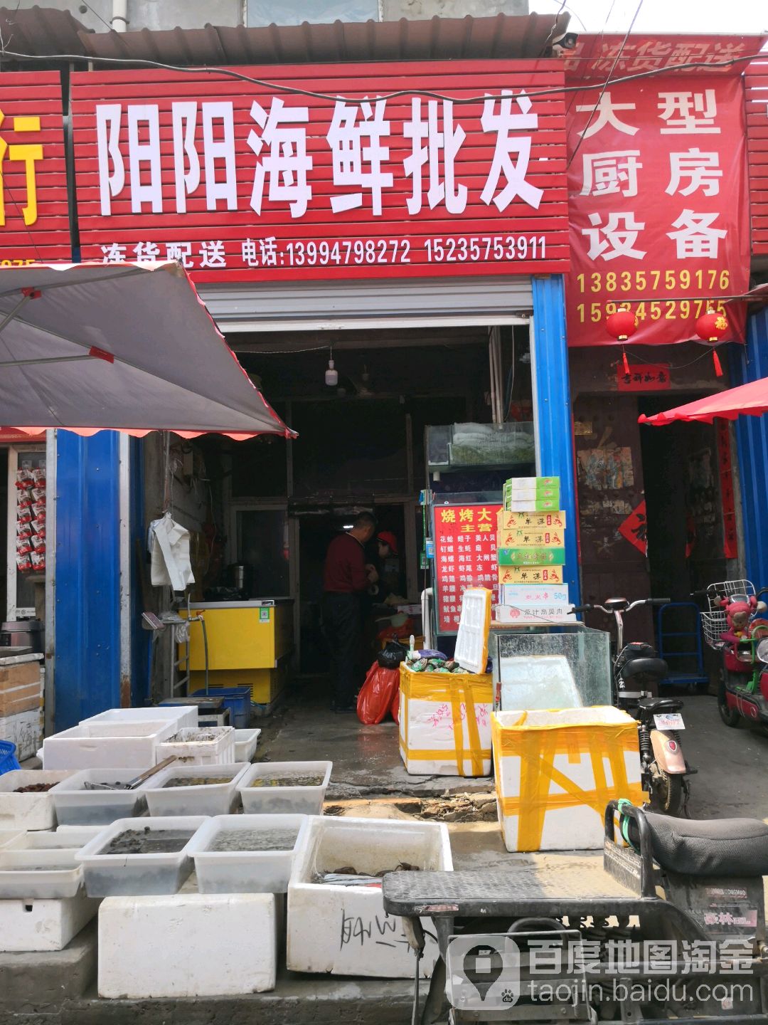 阳阳海鲜批fa