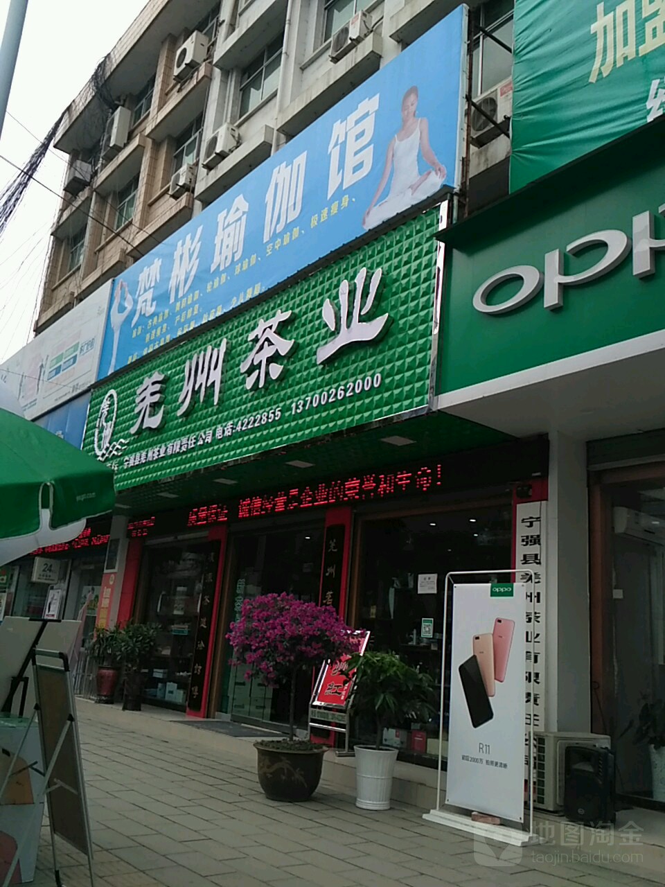羌州茶业
