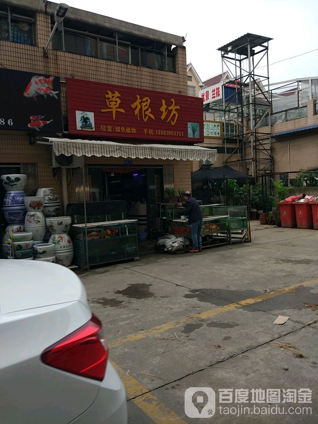 草根坊