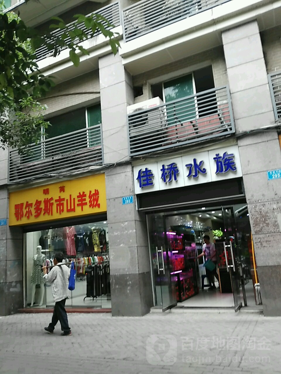 佳桥上族
