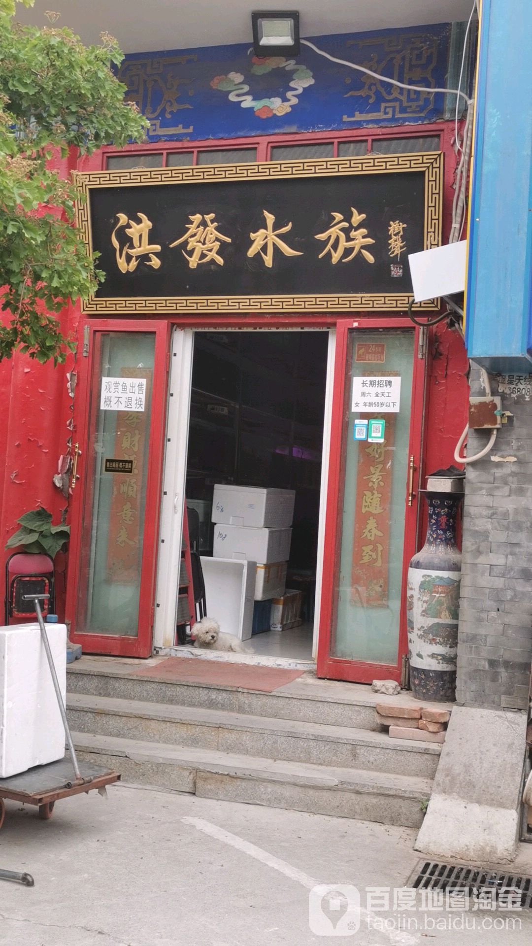 洪批发水族