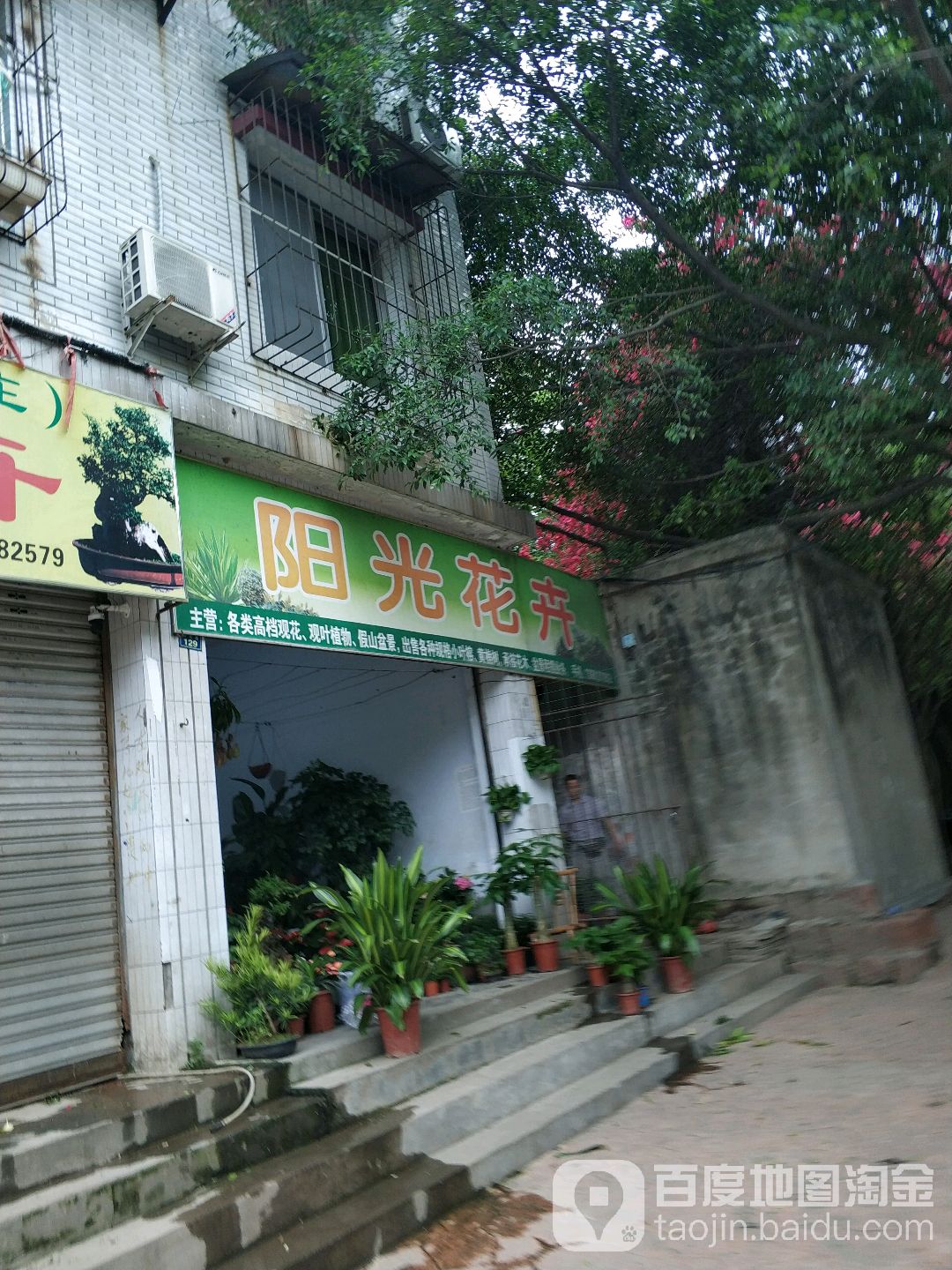 阳光花卉
