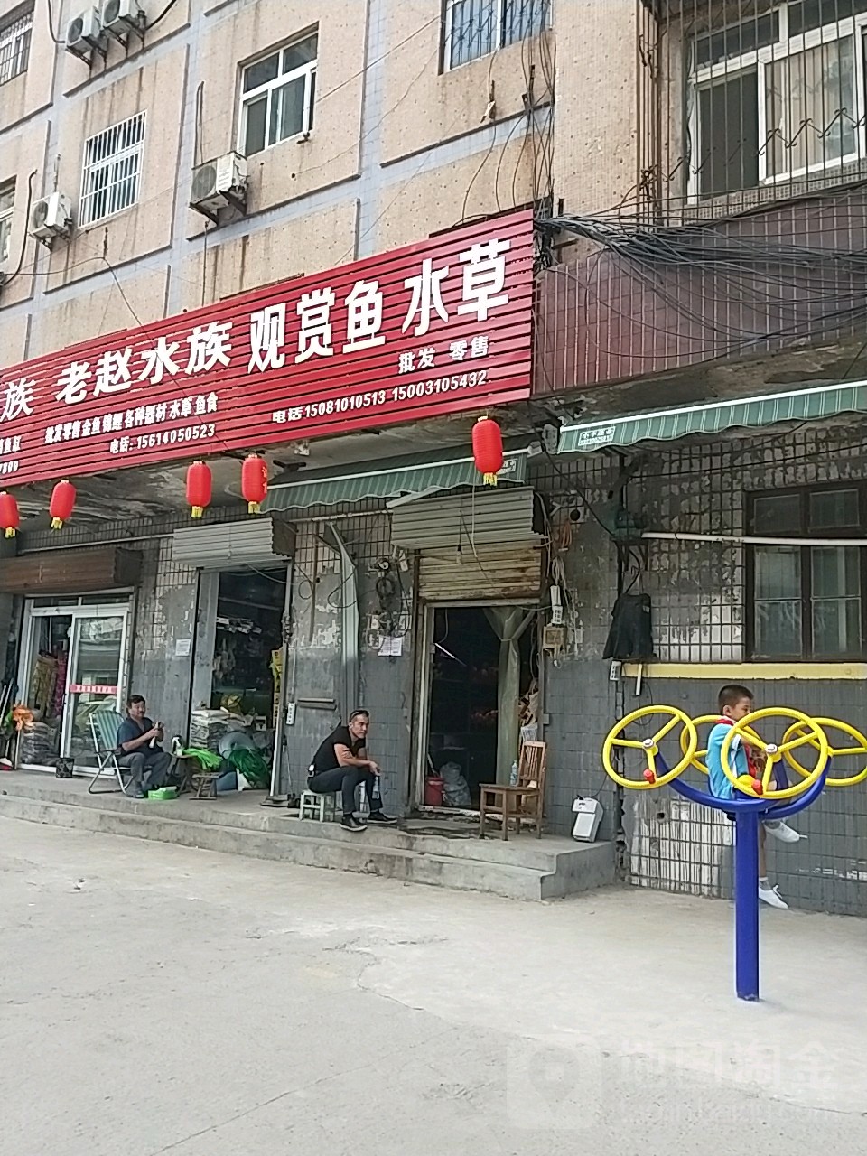 观赏鱼水草