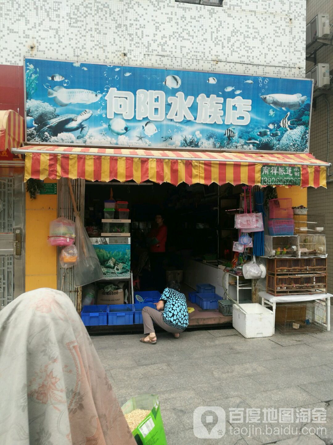向阳水族店