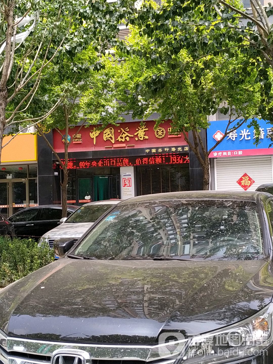 中茶中国茶叶(寿光店)