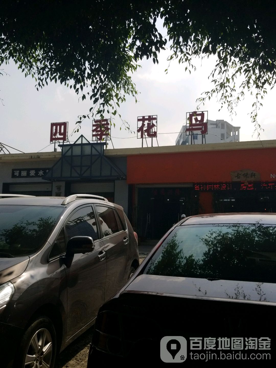 四季花鸟