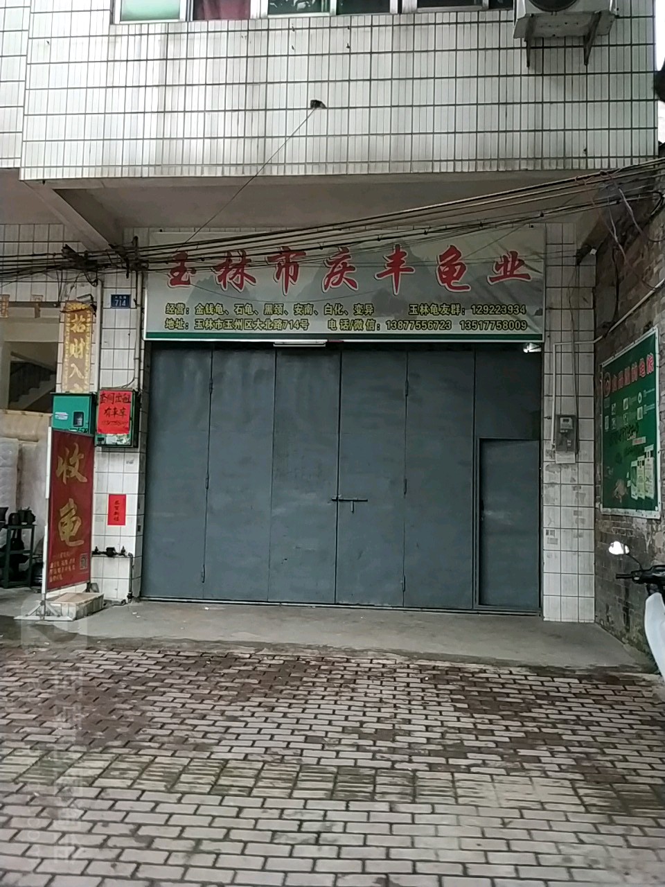 玉林市庆丰龟业