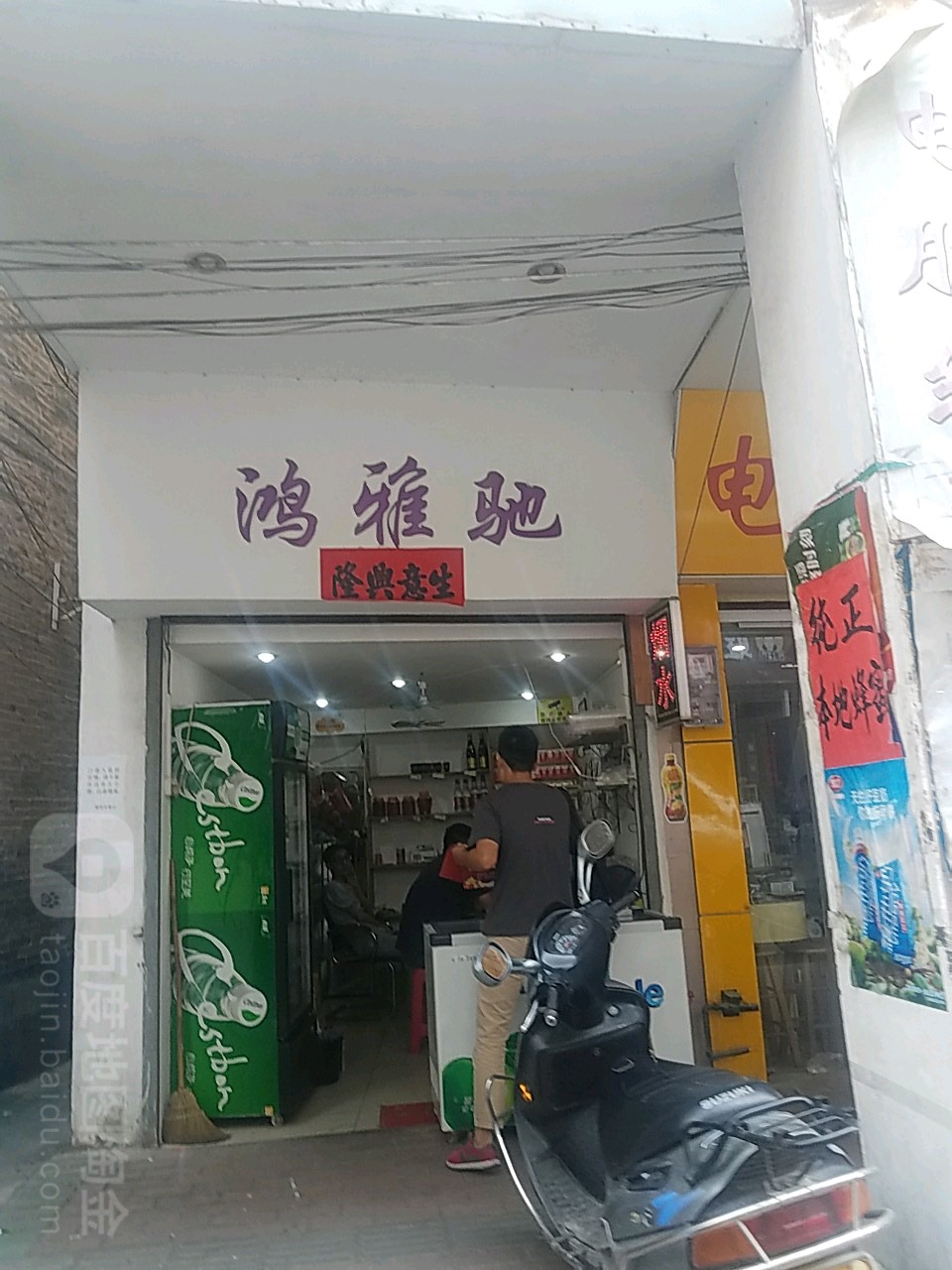 鸿雅驰